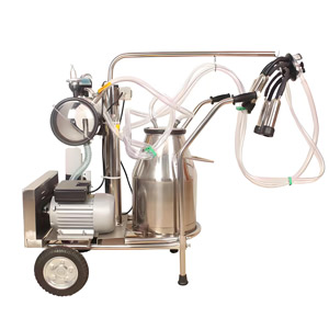 Milk Machine & Accessories